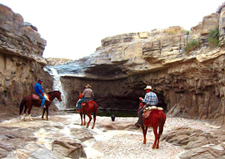 USA-Texas-Rancho Picachos on the Rio Grande